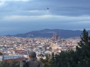 IMG_0923
