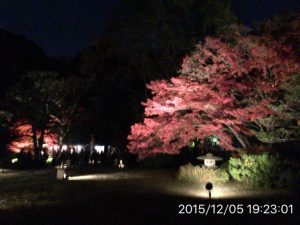 IMG_0080