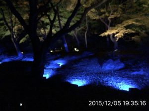 IMG_0086