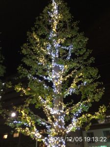 image (11)