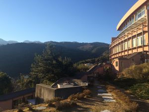 IMG_0804