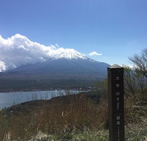 IMG_5780(1)
