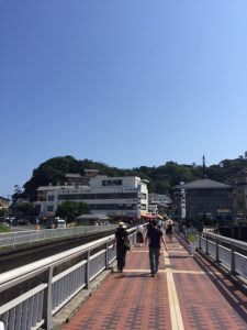 image1 (23)