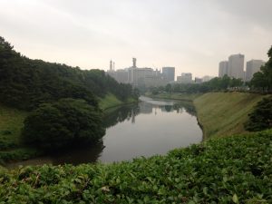 IMG_0903