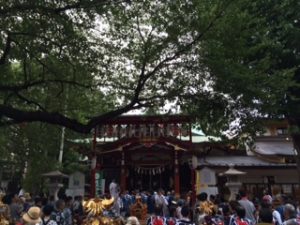 IMG_0696 (1)