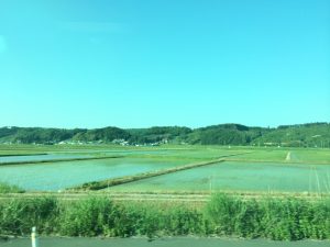 写真 1 (1)