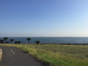 image (1)