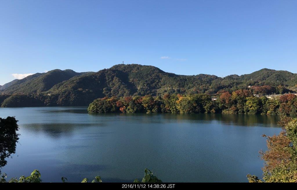 ⑤