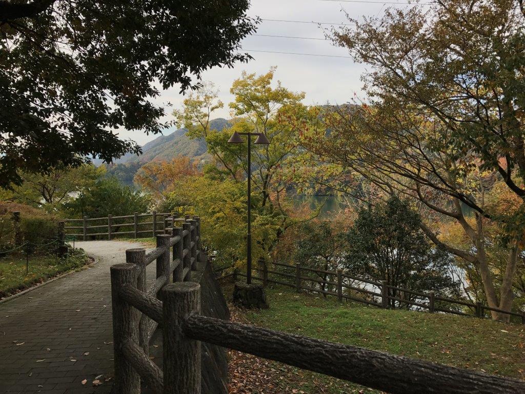 ⑰