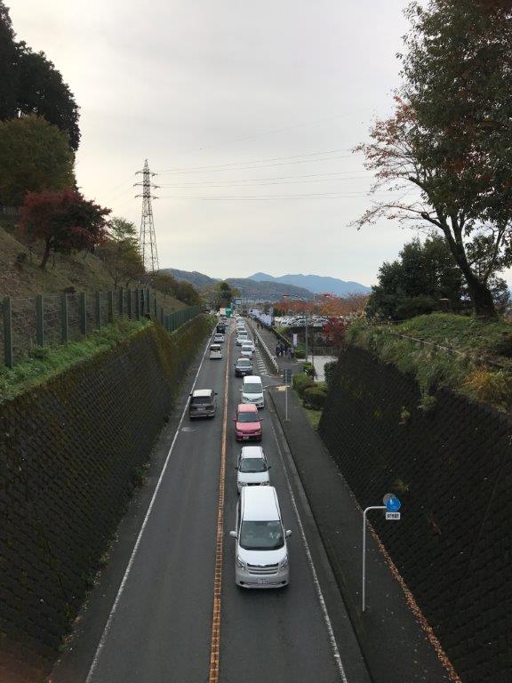 ⑲