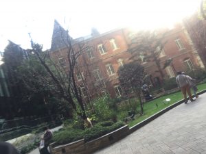 IMG_0401