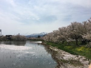 IMG_7229