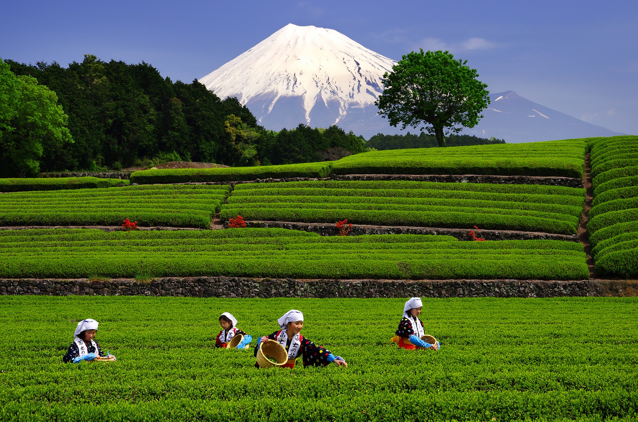 富士市観光pr展 富士山のふもとから 東京シティアイ Tokyo City I 東京駅丸の内南口からすぐの観光案内所 富士市観光pr展 富士山のふもとから 東京シティアイ Tokyo City I 東京駅丸の内南口からすぐの観光案内所
