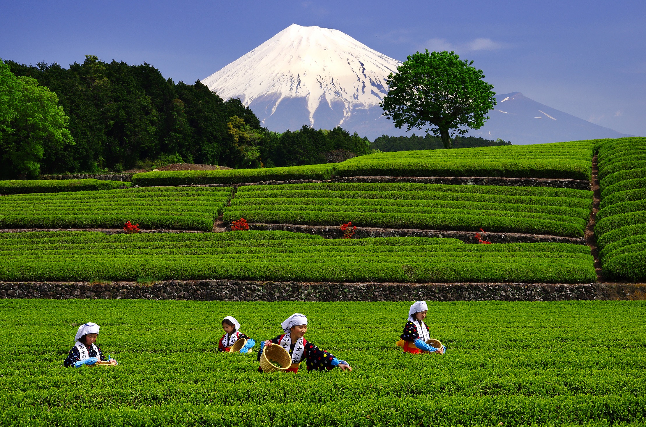 富士市観光pr展 富士山のふもとから 東京シティアイ Tokyo City I 東京駅丸の内南口からすぐの観光案内所